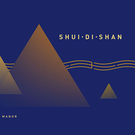 設計傳達上市公司穩定性和可信度的品牌形象