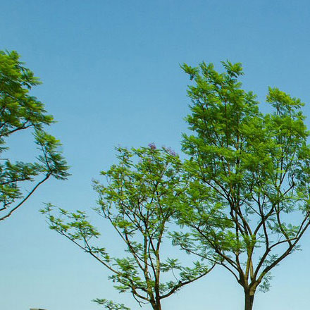 昆明好的vi設計公司是哪家