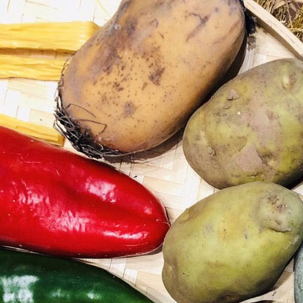 如何建立一套一致的VI設(shè)計(jì)系統(tǒng)？